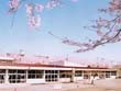 相武台中央幼稚園 相武台中央幼稚園